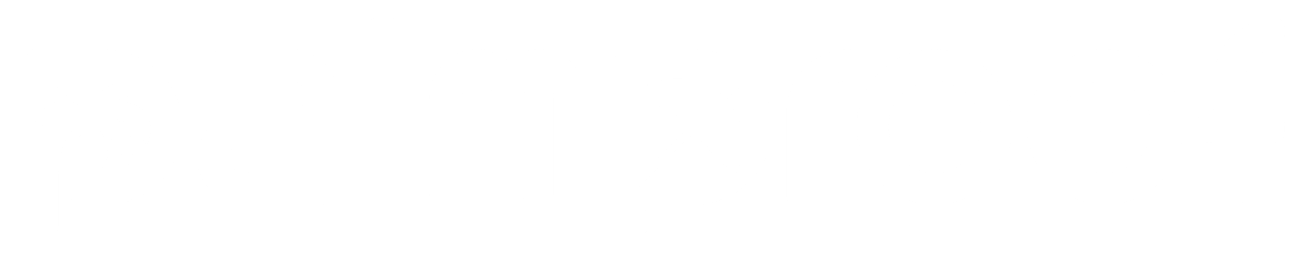 PalmProof logo -white
